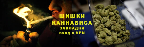 бошки Бронницы