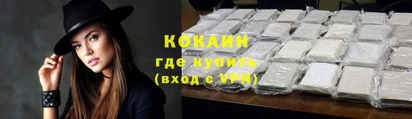 прущий лед Богородицк