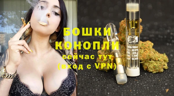 бошки Бронницы