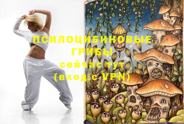 тгк Богородск