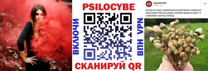 Купить где  Саяногорск  Галлюциногенные грибы прущие грибы 